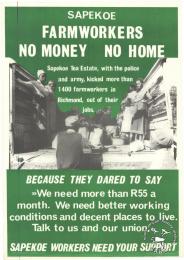 SAPEKOE FARMWORKERS : NO MONEY NO HOME AL2446_0770 produced by the Food and Allied Workers Union (FAWU), Durban. This poster depicts how the Food and Allied Workers Union (FAWU) exposed the oppressive working conditions on a tea estate and how they demanded union recognition.