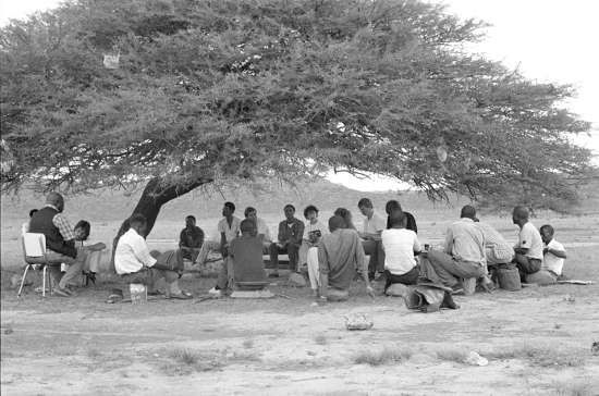 Meeting under a tree to discuss possible forced removal from land, Ntombi's Camp, KwaZulu-Natal, November 1988. Archived as SAHA collection AL3274_F36.12