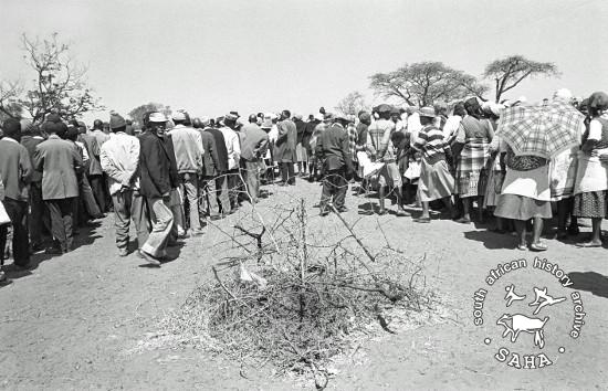 AL3274_D26.16 	Queues waiting to sign a petition against incorporation into Bophuthatswana, Braklaagte