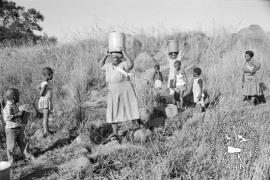 This black and white photograph of women and children collecting water from a spring in Driefontein was taken by Gille de Vlieg in may 1984. Included in SAHA Land Act Project report, 2014.