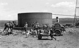This black and white photograph of activity at water well in Mogopa was taken by Gille de Vlieg on 12 December 1983. Included in SAHA Land Act Project report, 2014.
