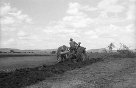 Ploughing the land, Braklaagte, 1986. This image is used in the SAHA Land Act Virtual Exhibition.