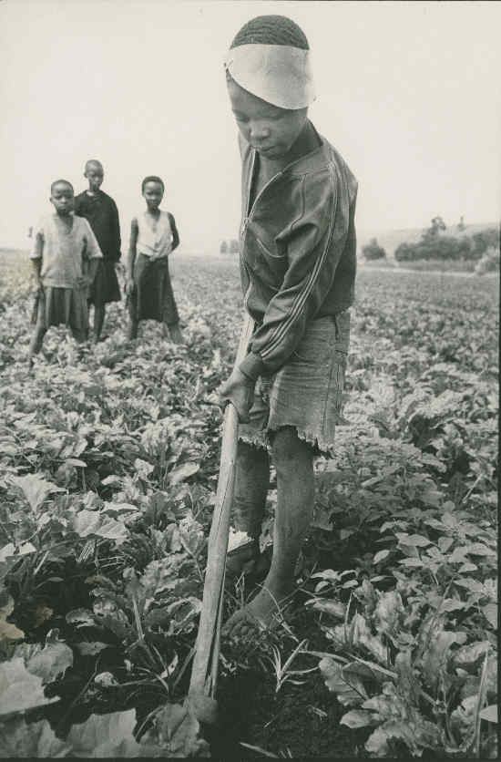 Child labourers, undated, photographer unknown, AL2547_11.1.8, SAHA Original Photograph Collection