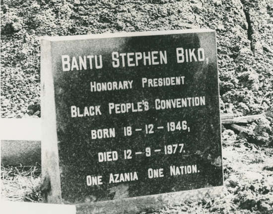 Bildergebnis für steve biko body