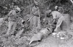 Cadres inspect parts of the downed spotter plane