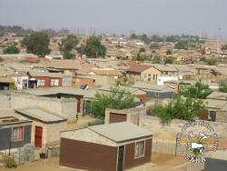 Image of low cost houses houses in a township