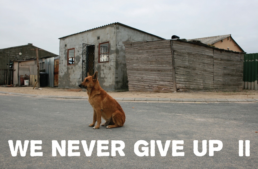 We Never Give Up II screening We Never Give Up II screening